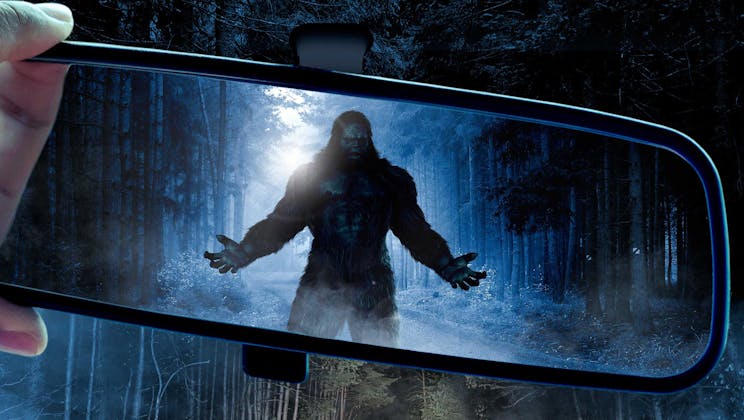 The Sighting